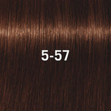 Schwarzkopf Professional Igora Royal Vopsea de Păr Permanentă 60ml Culoare Intensă și Durabilă