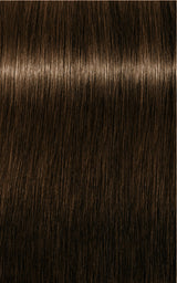 Schwarzkopf Professional Igora Royal Vopsea de Păr Permanentă 60ml Culoare Intensă și Durabilă
