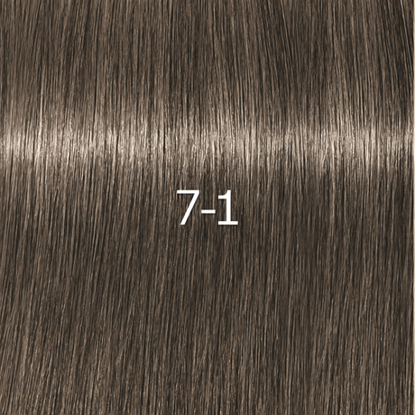 Schwarzkopf Igora Royal Zero AMM Vopsea de Păr Permanentă fără Amoniac 60ml