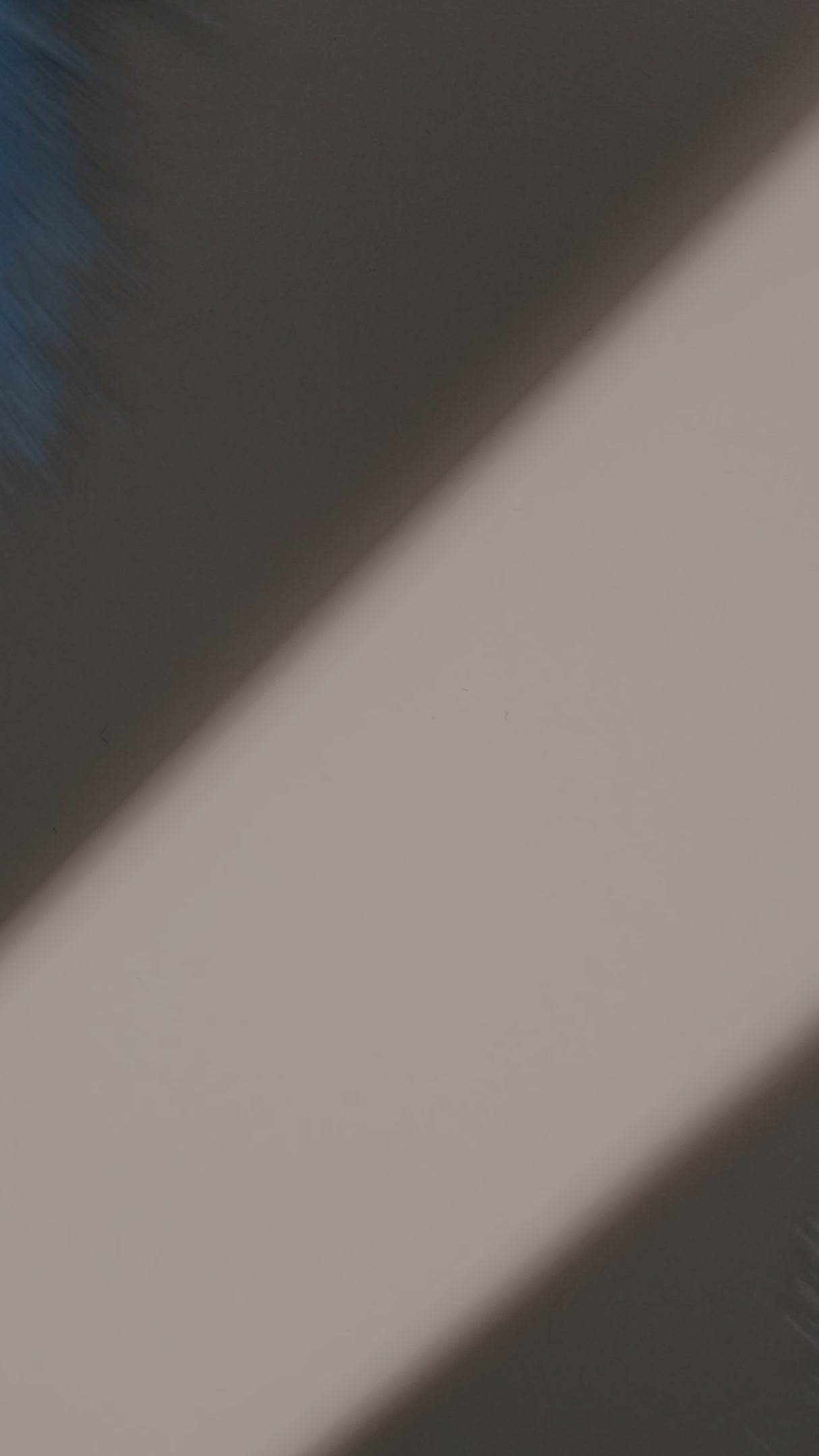 Indola Blonde Expert Lightener 9+ White 450g – Pudră Decolorantă Profesională Albă cu Protecție Maximală și Rezultat Blond Clar, Neutru